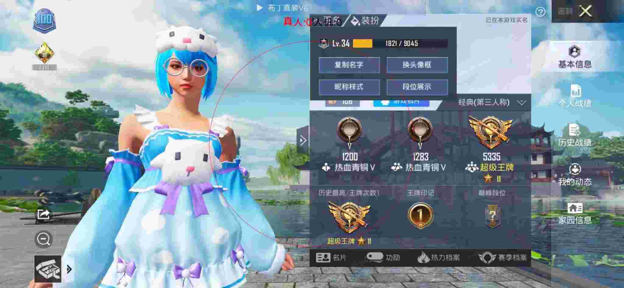 和平精英布丁直装透视 - 和平精英皮肤设计图辅助预览图